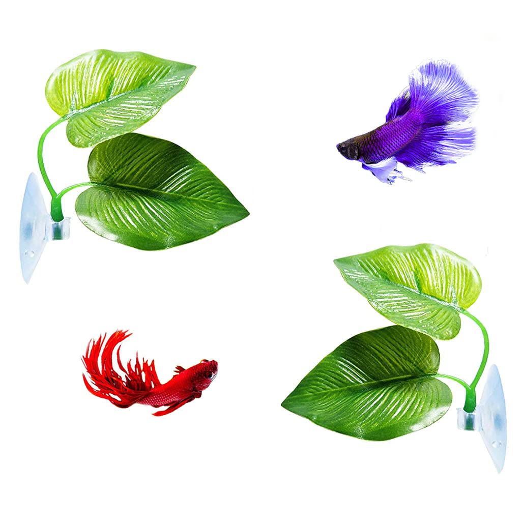 Qpets 2 Pcs Betta Fish Leaf Pad Realistic Rest Leaf Improves Betta's Health by Simulating The Natural Habitat Spawning Area Rest Area for Fish Aquarium Qpets 2 Pcs Betta Fish Leaf Pad Realistic Rest Leaf Improves Betta's Health by Simulating The Natural Habitat Spawning Area Rest Area for Fish Aquarium